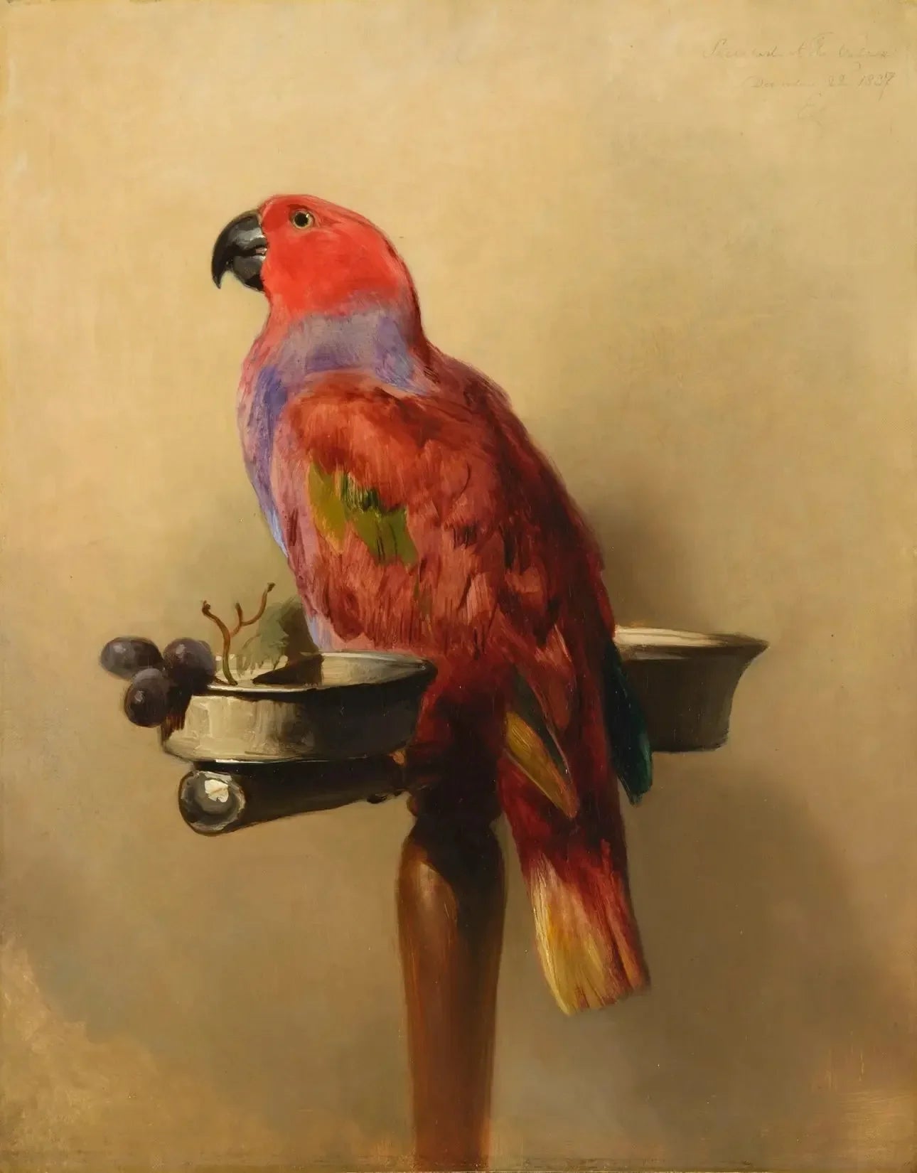 Le Lori - Edwin Henry Landseer image 1 reproduction réalisée par Alpha Reproduction