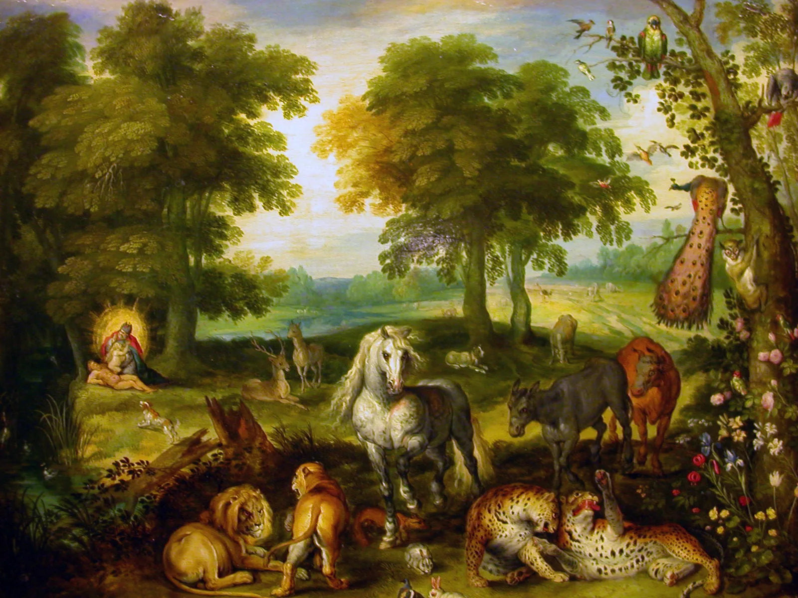 Le Paradis terrestre avec la création d'Ève - Jan Brueghel le Jeune image 1 copie de tableau peinte à la main