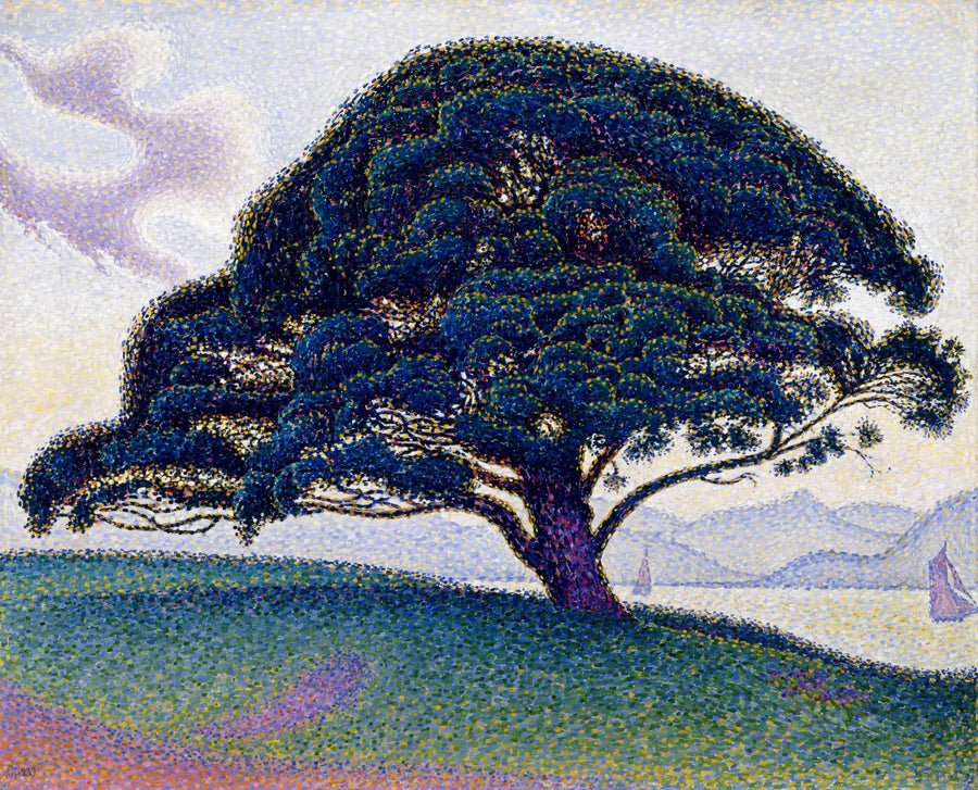 Le pin de Bonaventure - Paul Signac