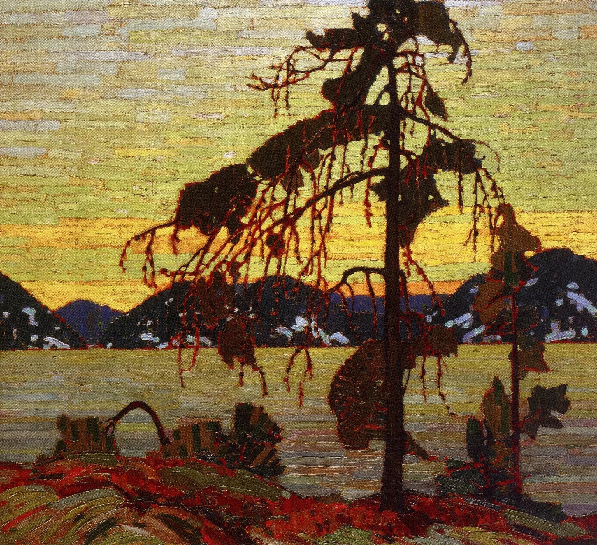 Le pin gris - Tom Thomson image 1 tableau peint à l’huile sur toile