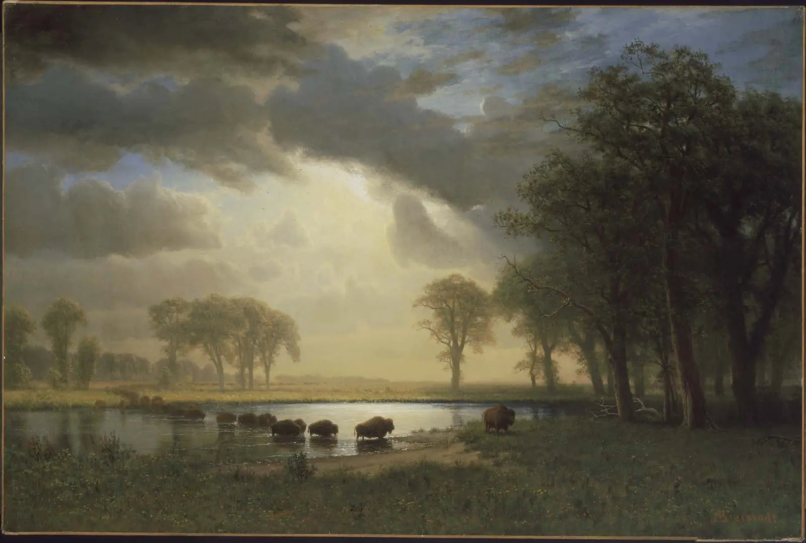 Le sentier du bison - Albert Bierstadt image 1 tableau peint à l’huile sur toile