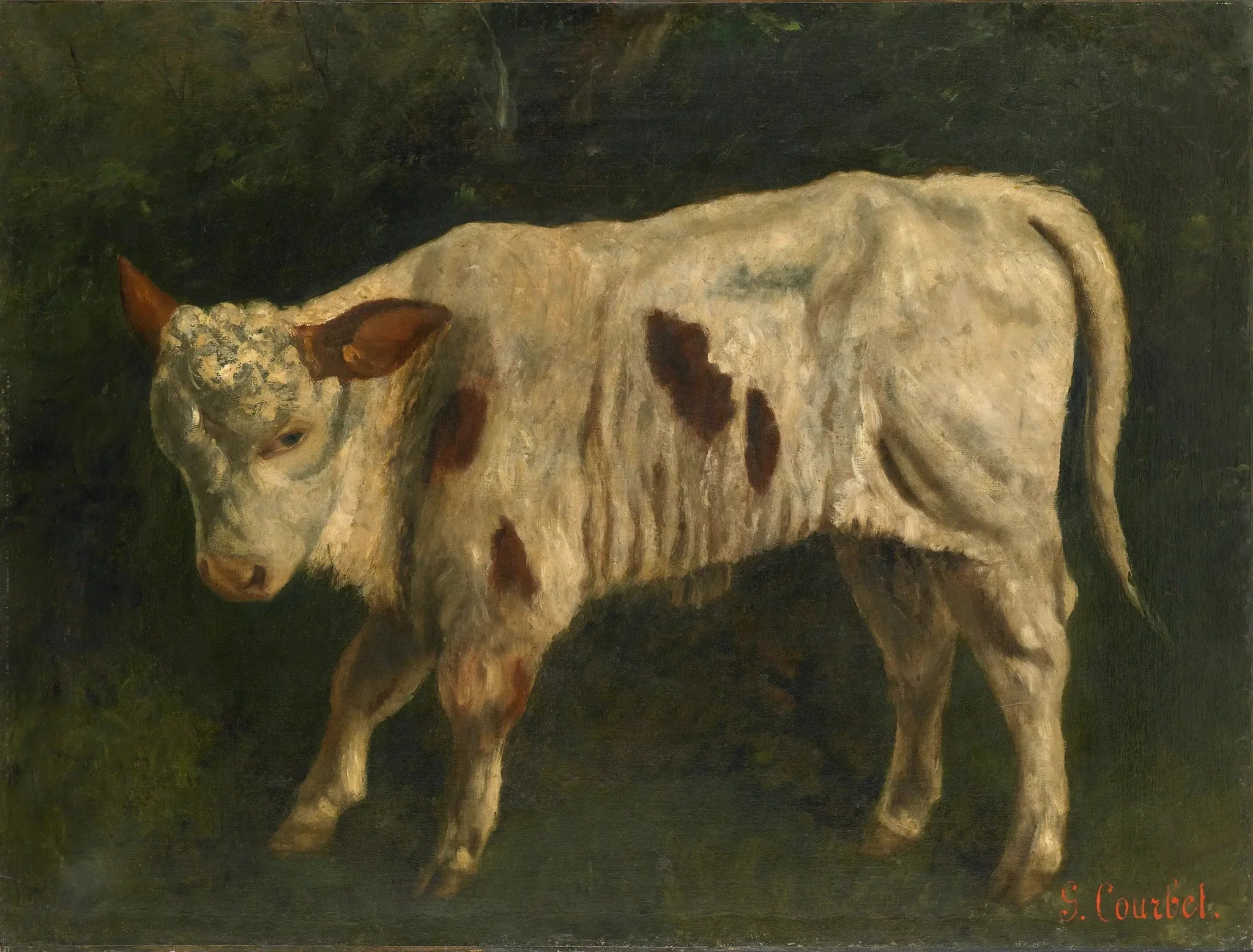 Le Veau blanc - Gustave Courbet image 1 reproduction de peinture à l’huile
