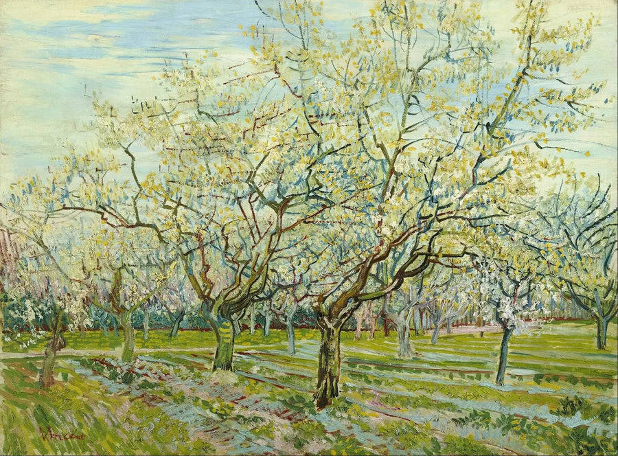 Le verger blanc - Vincent van Gogh