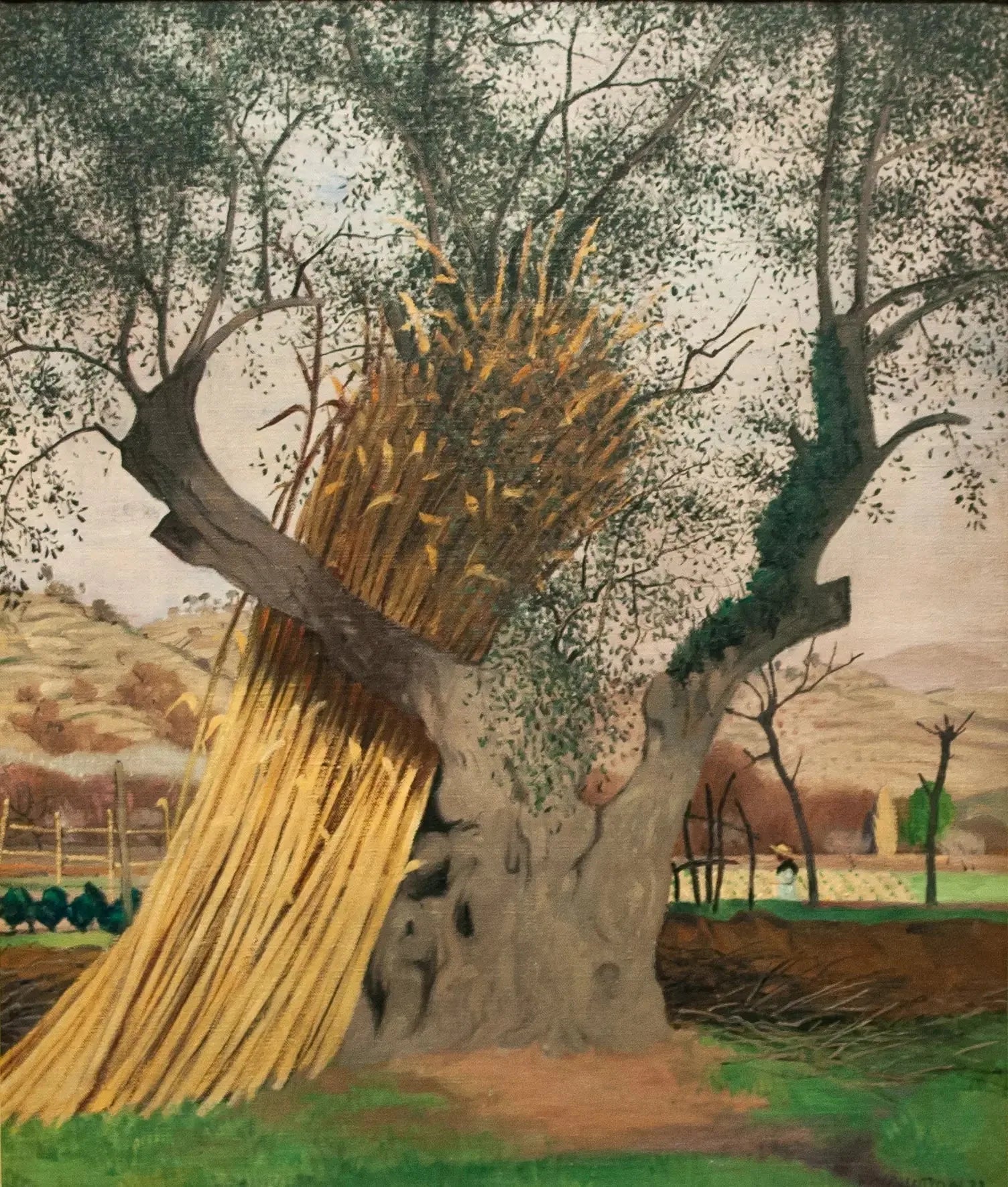 Le Vieil Olivier - Félix Vallotton image 1 reproduction d’œuvre d’art à l’huile