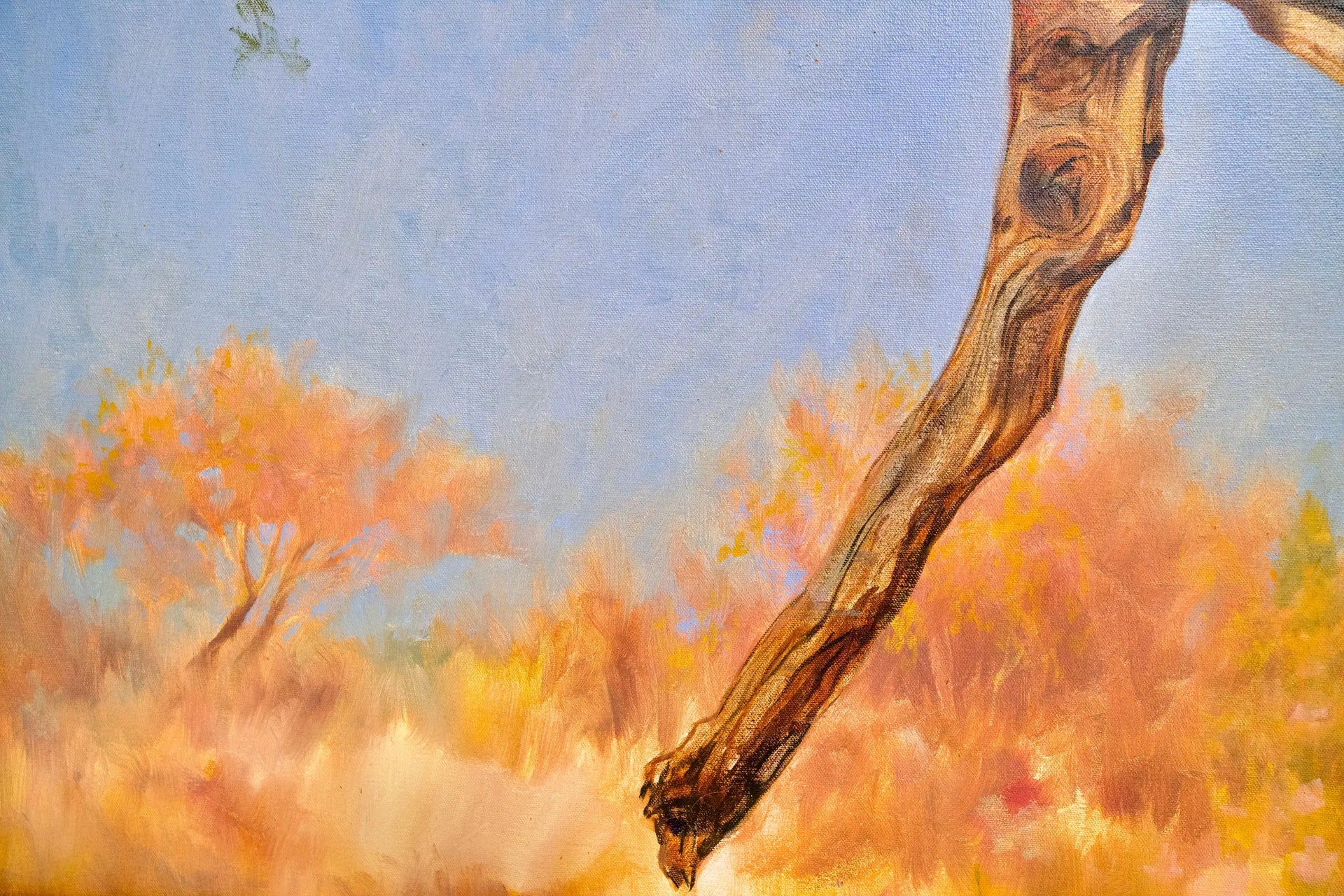 Léopard dans un arbre | 150 x 100 cm image 14 reproduction réalisée par Alpha Reproduction