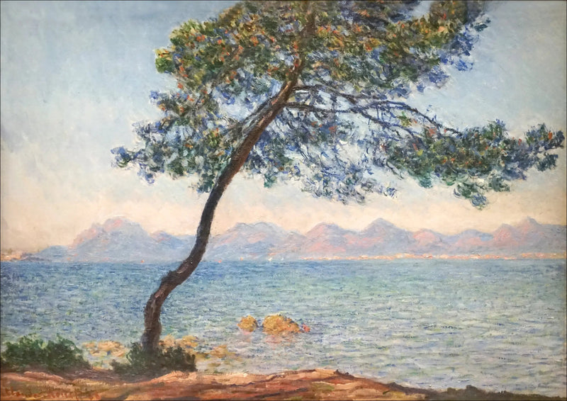 Les antibactériens - Claude Monet