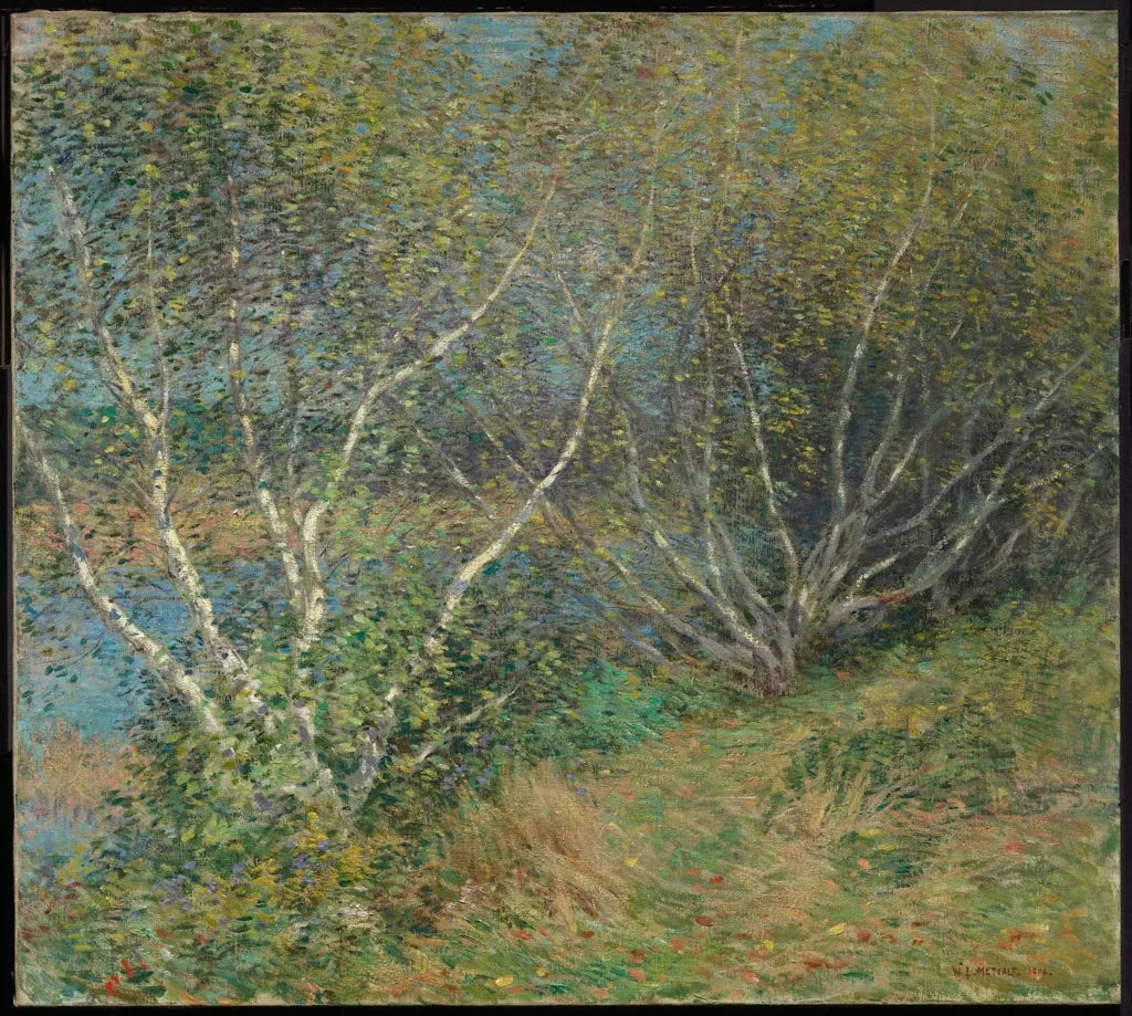 Les bouleaux - Willard Metcalf image 1 copie peinte à la main à l’huile