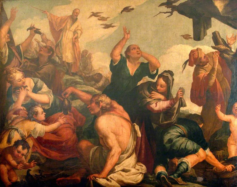 Les cailles - Maarten van Heemskerck