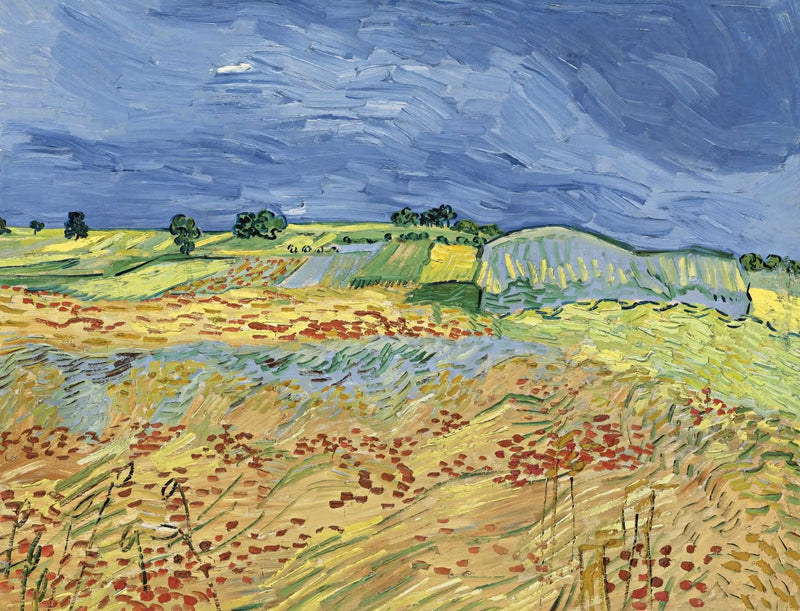Les champs - Vincent van Gogh