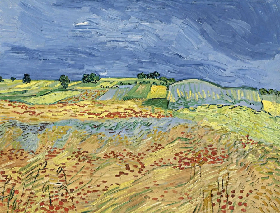 Les champs - Vincent van Gogh