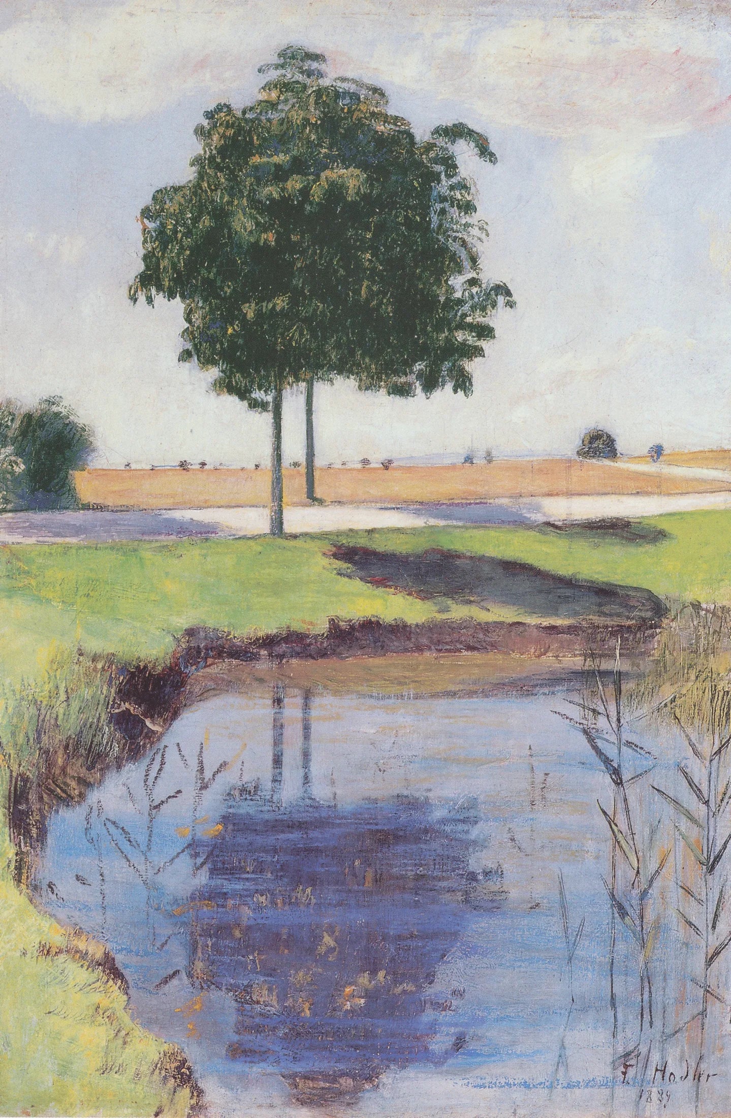 Les Châtaigniers - Ferdinand Hodler image 1 reproduction de peinture à l’huile