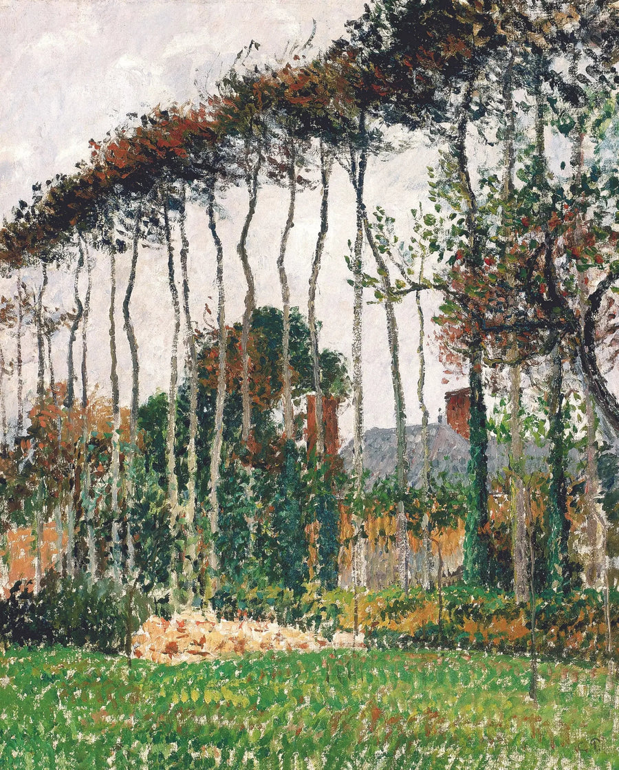 Les grands hêtres à Varengeville - Camille Pissarro
