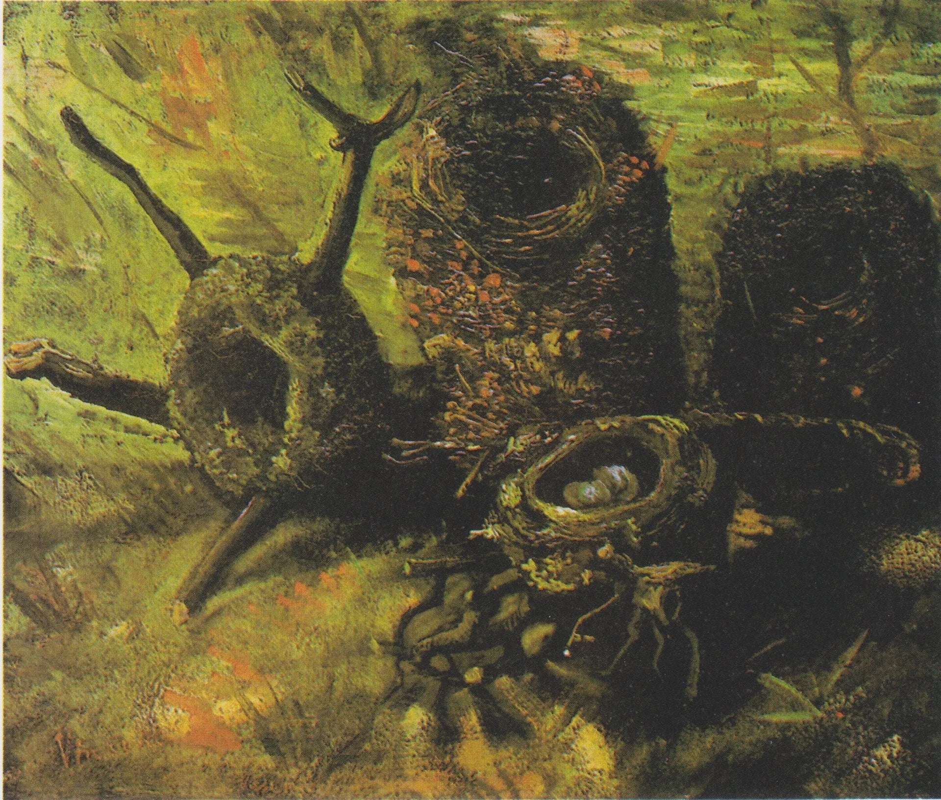 Les nids d'oiseaux - Vincent van Gogh image 1 reproduction artisanale de tableau