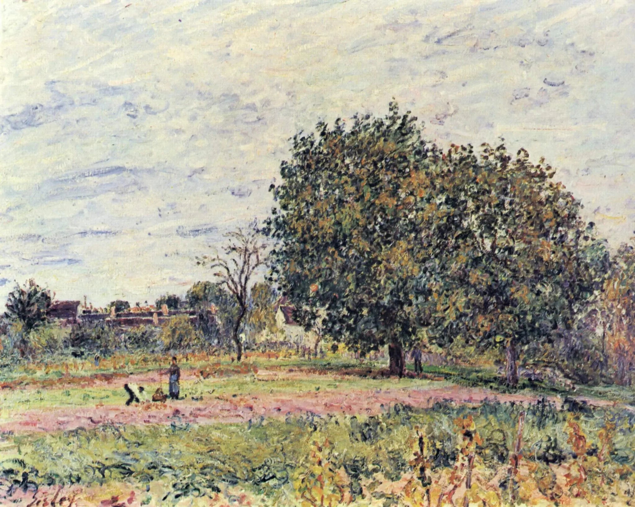Les Noyers, effet de soleil couchant—premiers jours d'octobre - Alfred Sisley image 1 reproduction réalisée par Alpha Reproduction