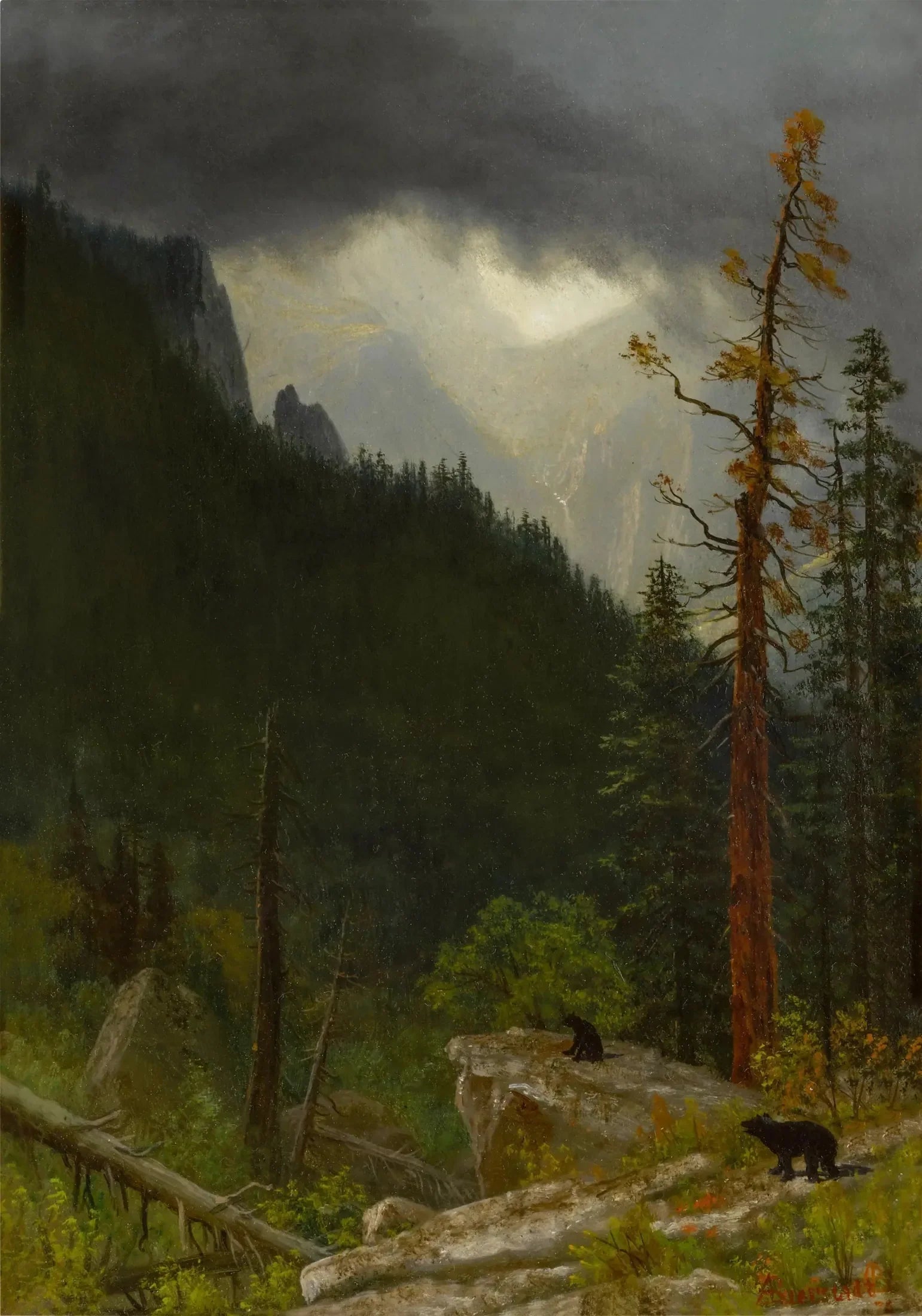 Les Rocheuses après une tempête - Albert Bierstadt image 1 reproduction artisanale de tableau