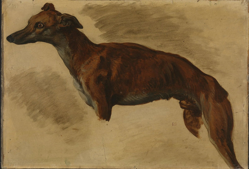Lévrier - Eugène Delacroix