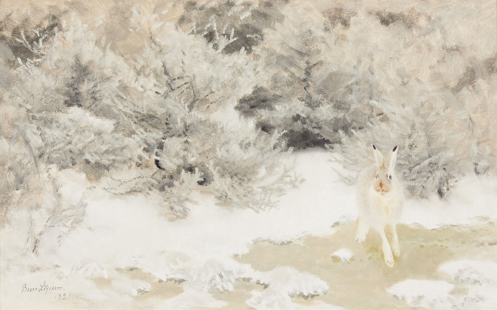 Lièvre d'hiver - Bruno Liljefors image 1 reproduction de peinture à l’huile