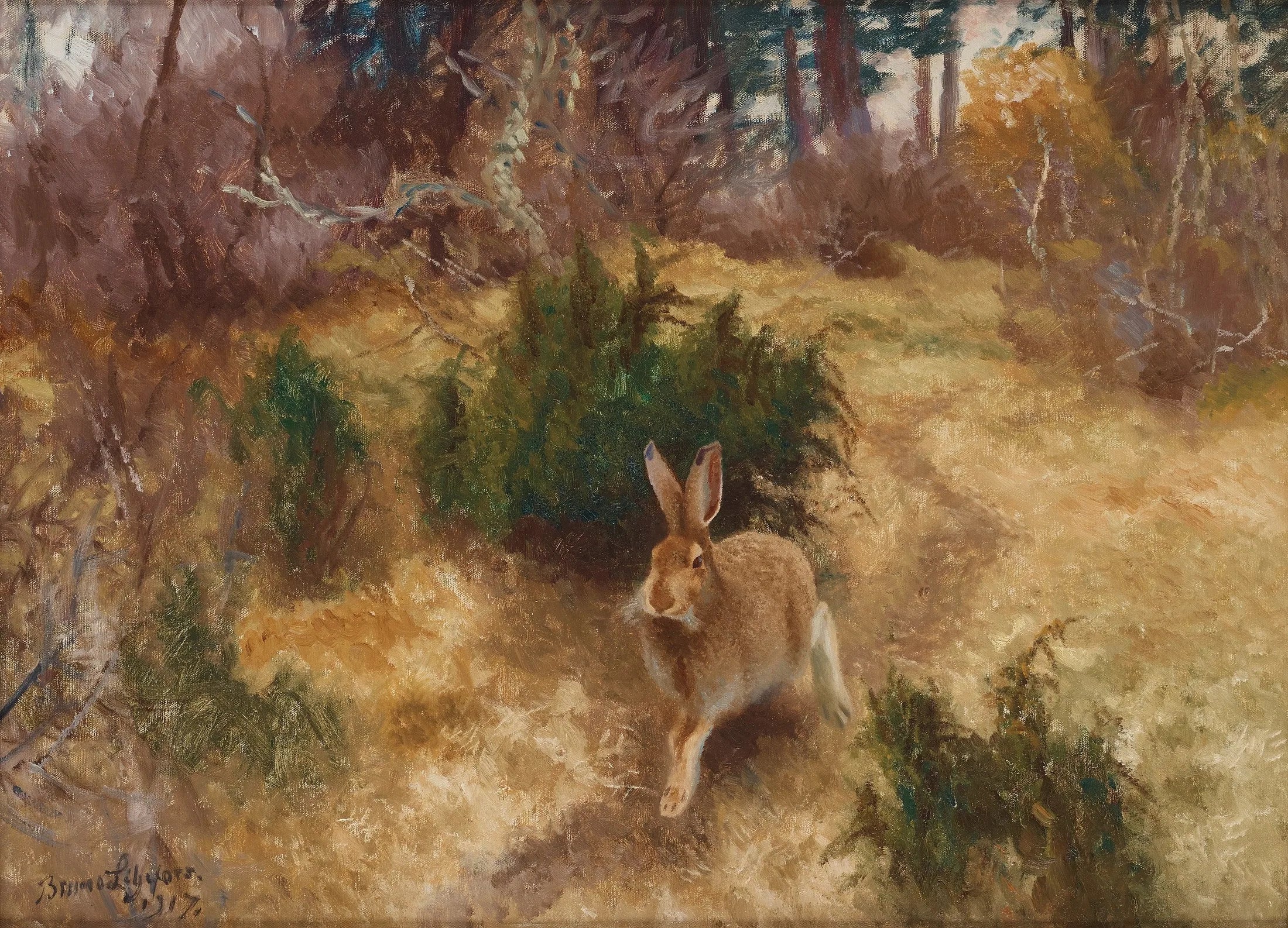 Lièvre dans un paysage d'automne - Bruno Liljefors