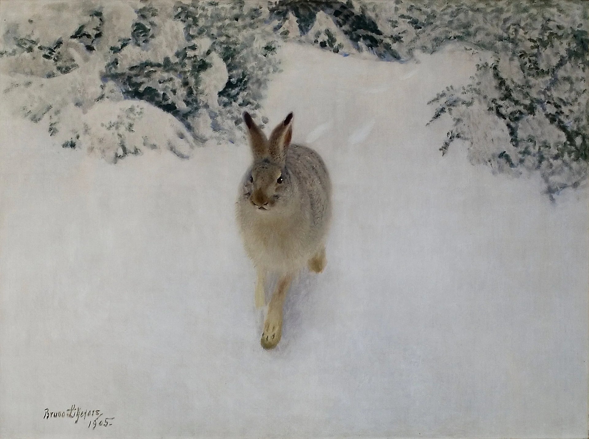 Lièvre en hiver - Bruno Liljefors image 1 reproduction de peinture à l’huile