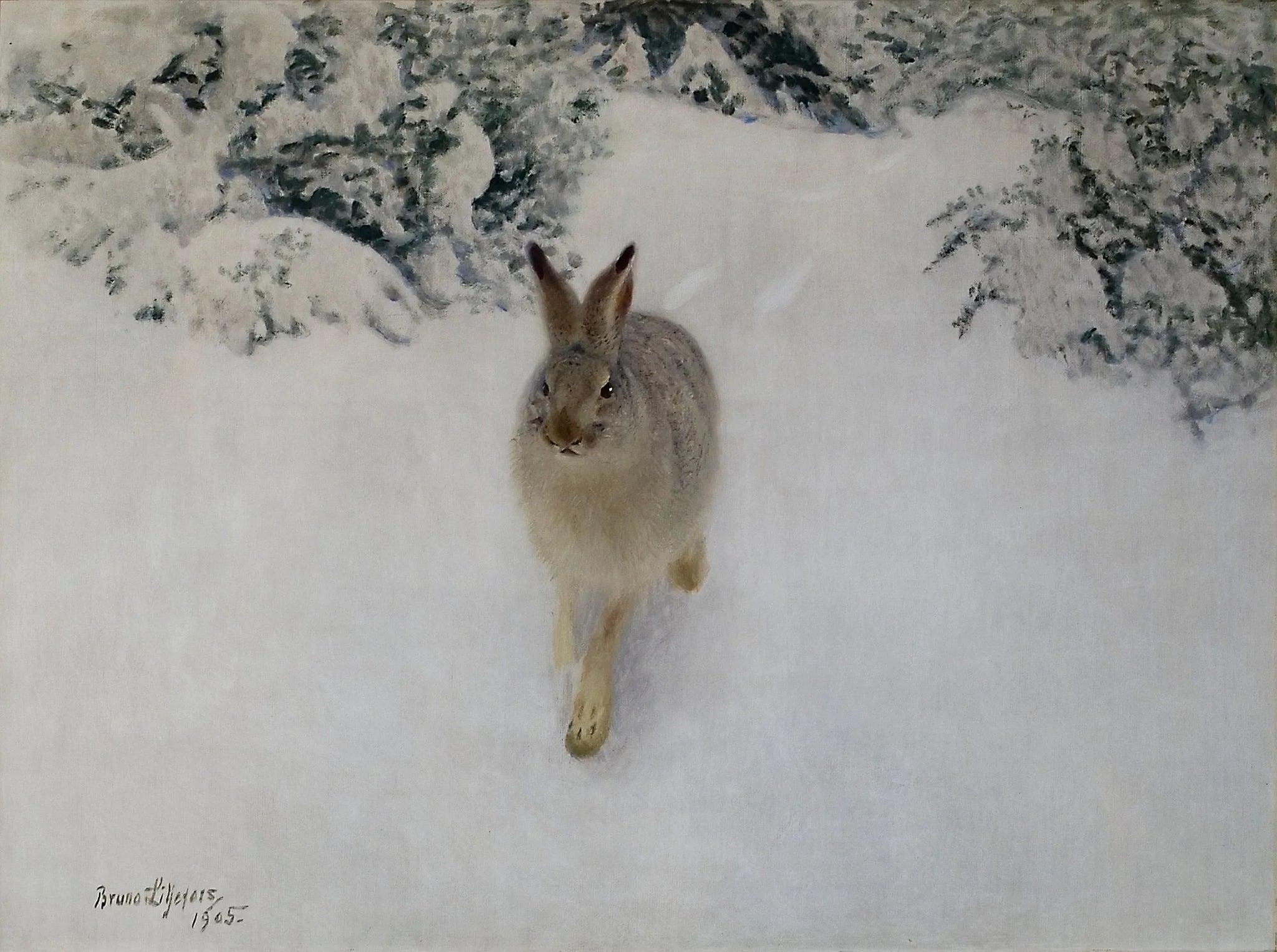 Lièvre en hiver - Bruno Liljefors image 1 reproduction de peinture à l’huile