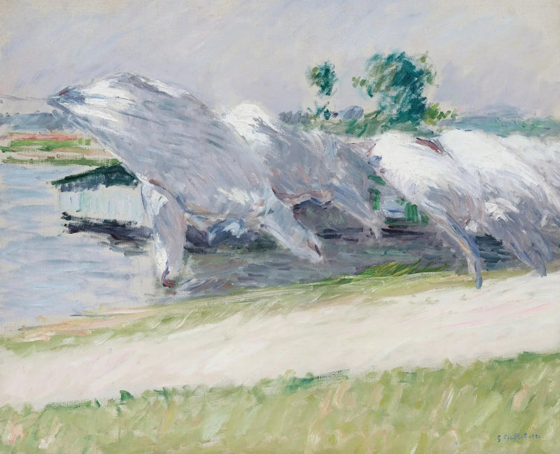 Linge séchant, Petit Gennevilliers - Gustave Caillebotte