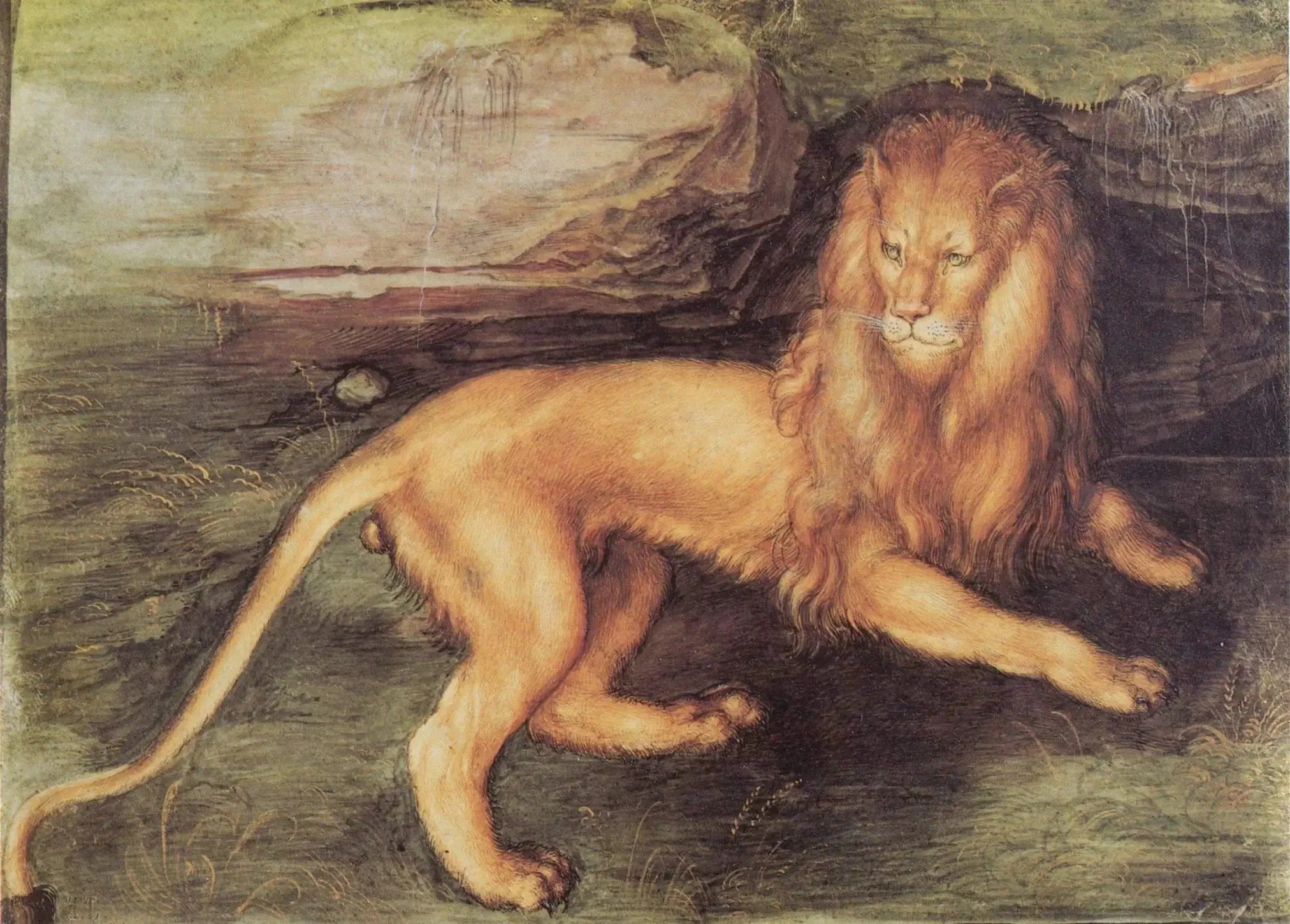 Lion - Albrecht Dürer image 1 reproduction artisanale de tableau