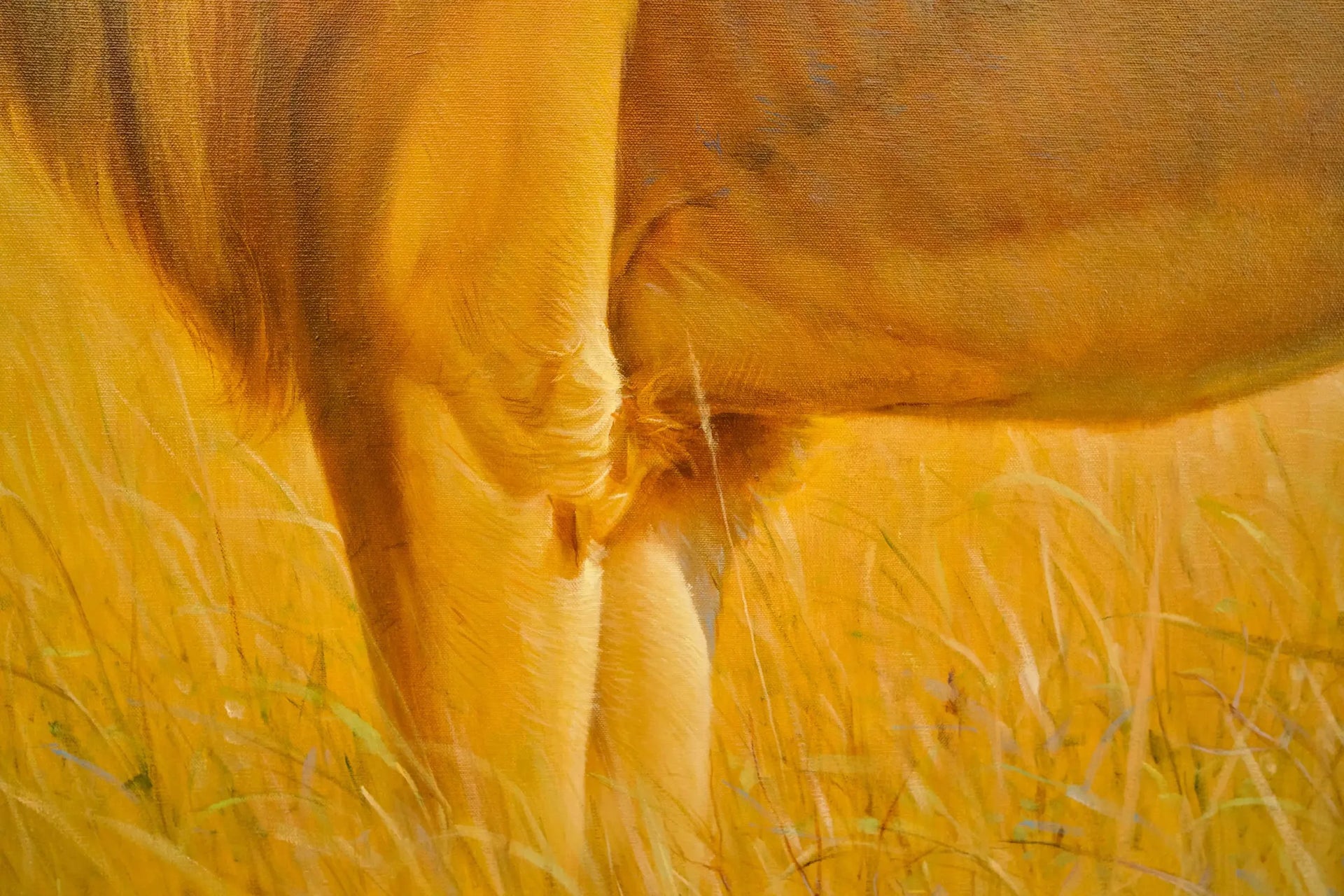 Lion dans la savane | 150 x 100 cm image 6 copie peinte à la main à l’huile