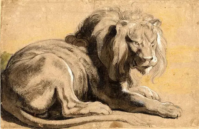 Lion - Peter Paul Rubens