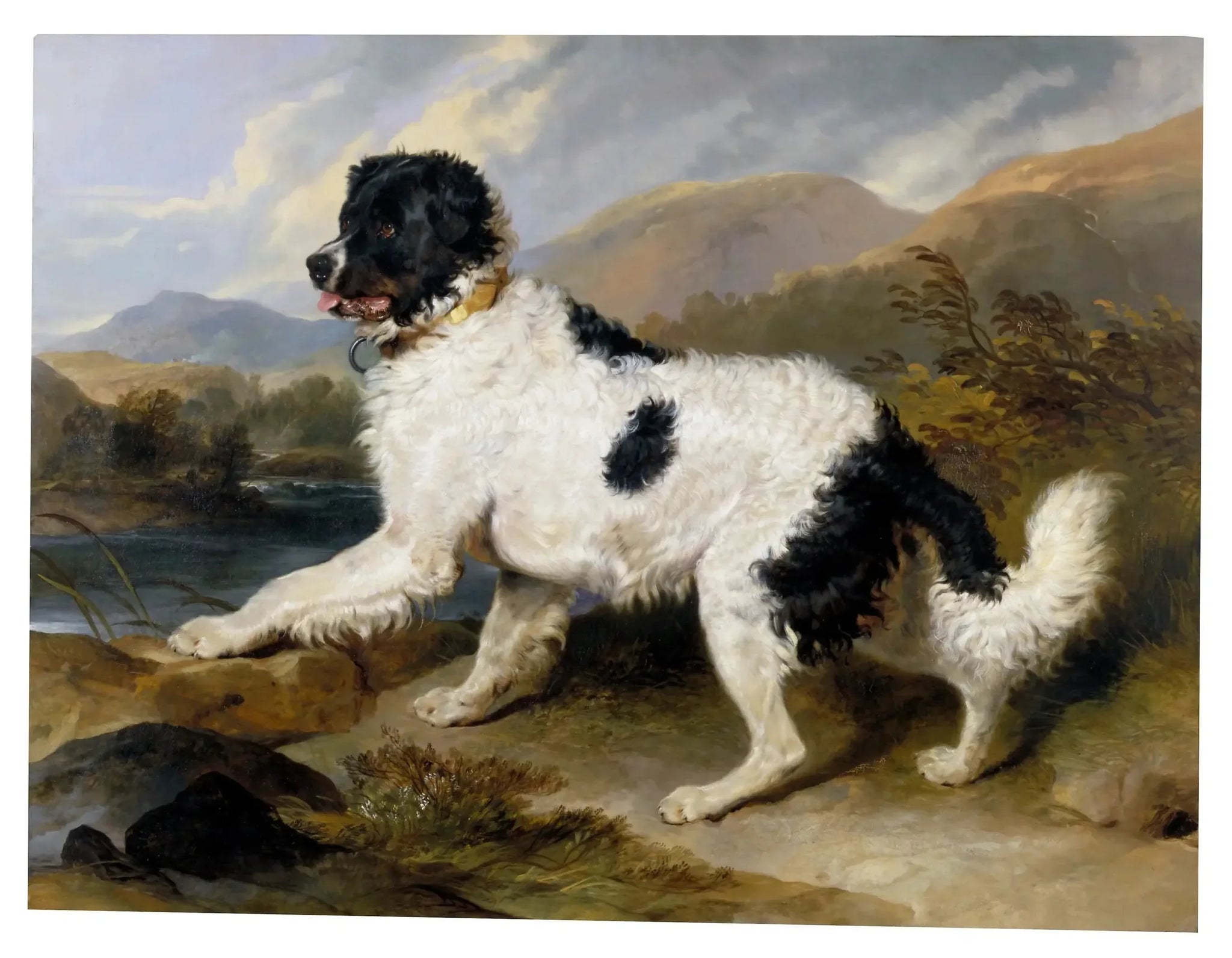 Lion', un chien de Terre-Neuve - Edwin Henry Landseer image 1 reproduction de peinture à l’huile