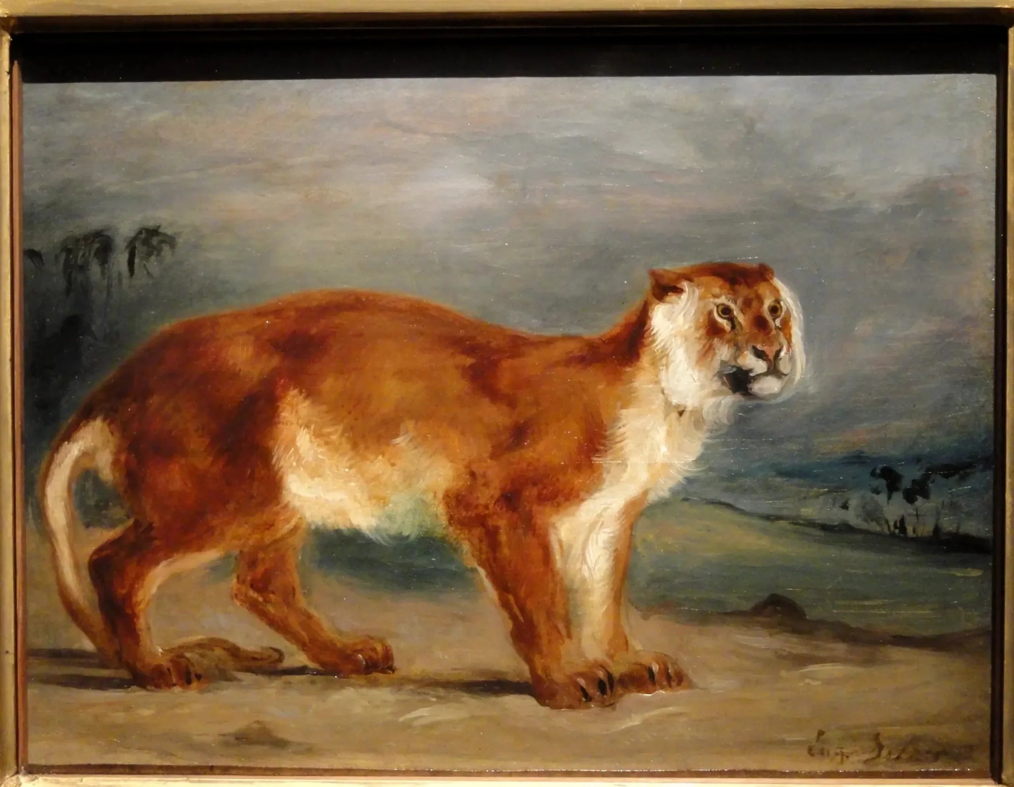 Lionne - Eugène Delacroix image 1 reproduction réalisée par Alpha Reproduction
