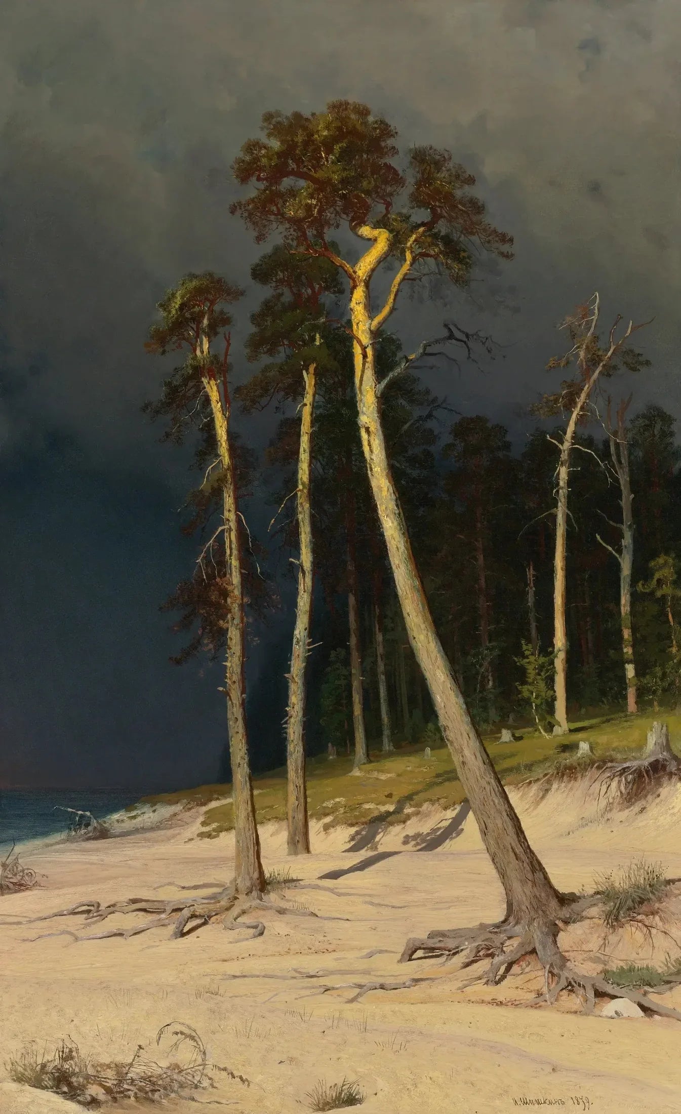 Littoral sablonneux - Ivan Chichkine image 1 tableau peint à l’huile sur toile