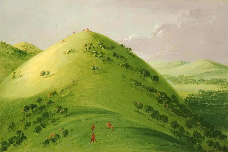 Magnifiques prairies, Haut-Mississippi - George Catlin