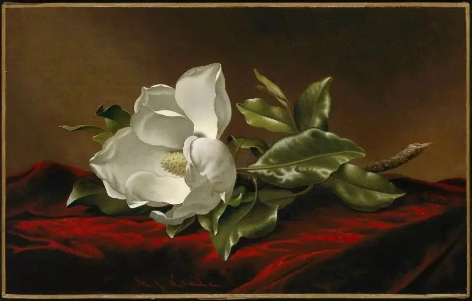 Magnolia grandiflora - Martin Johnson Heade image 1 reproduction d’œuvre d’art à l’huile