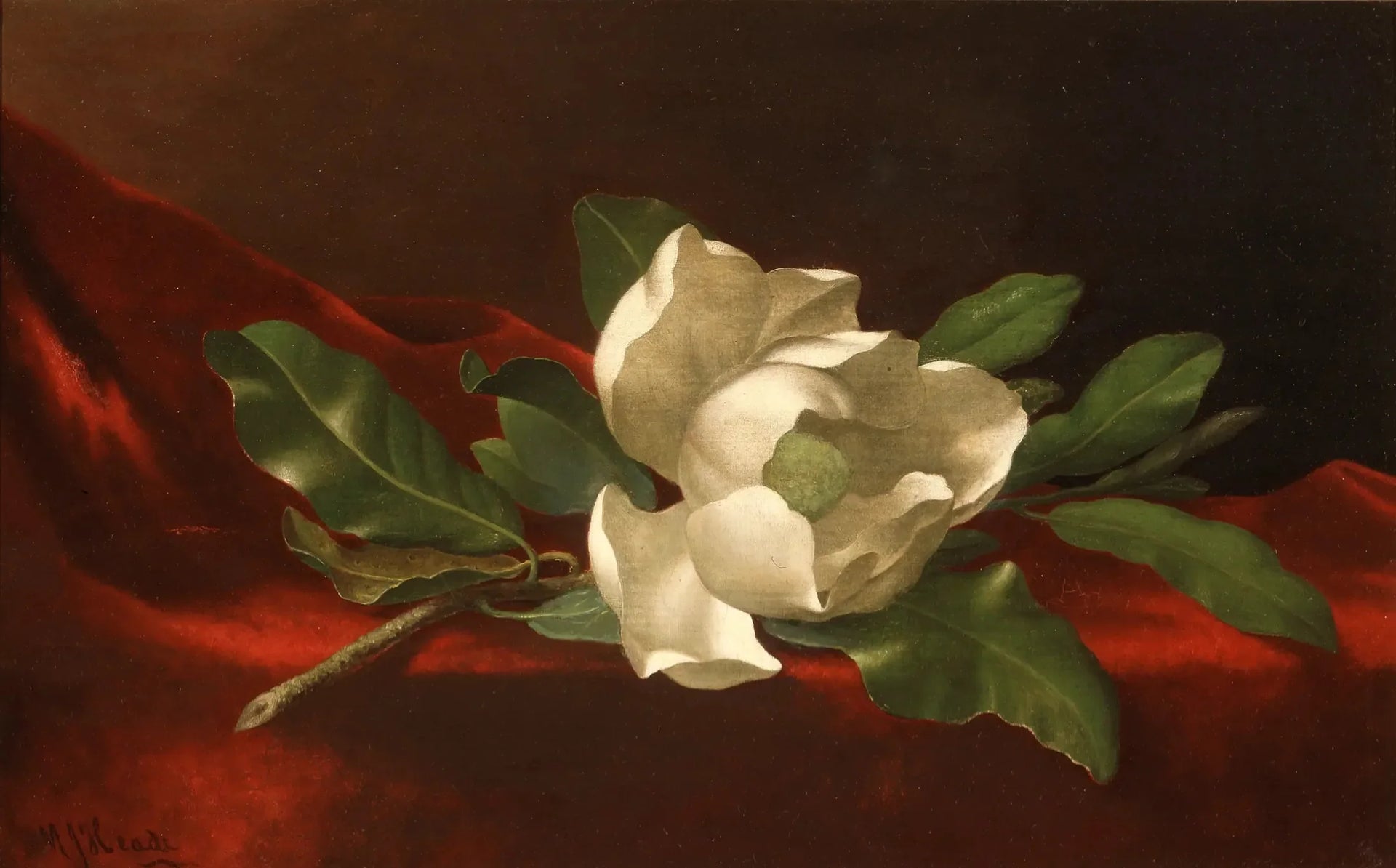 Magnolia - Martin Johnson Heade image 1 copie peinte à la main à l’huile