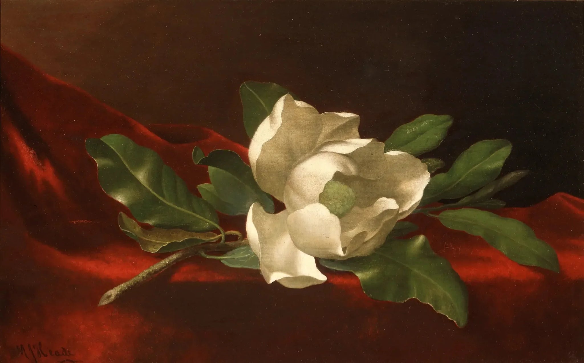 Magnolia - Martin Johnson Heade image 1 copie peinte à la main à l’huile
