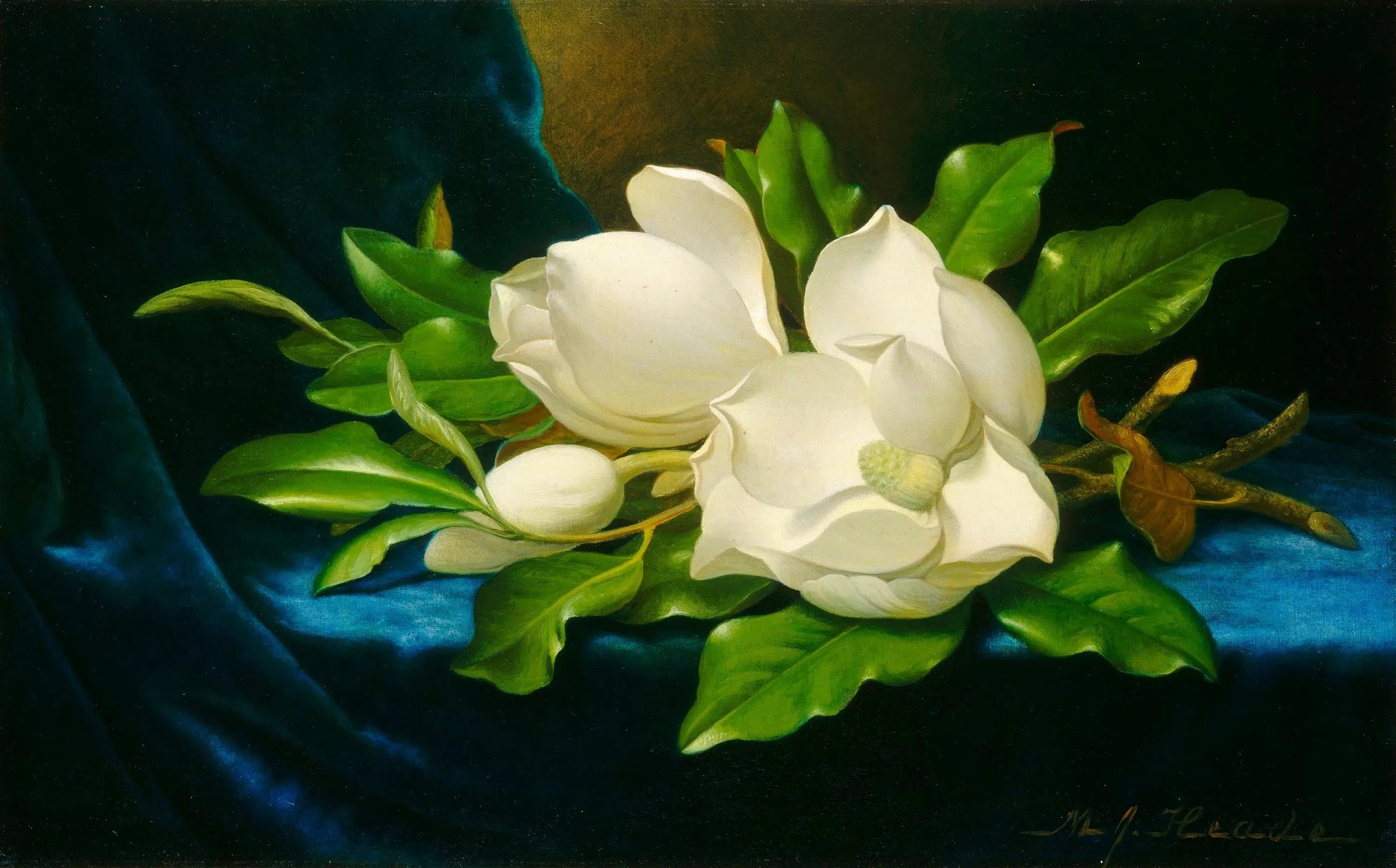 Magnolias géants sur velours bleu - Martin Johnson Heade image 1 copie peinte à la main à l’huile