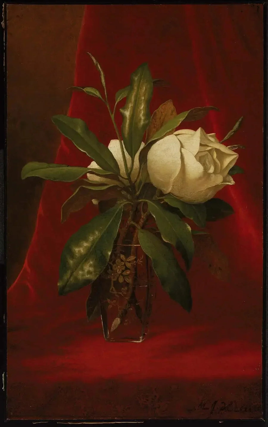 Magnolias - Martin Johnson Heade