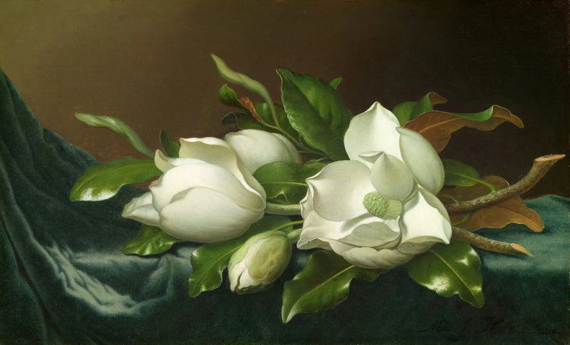 Magnolias sur tissu de velours bleu clair - Martin Johnson Heade