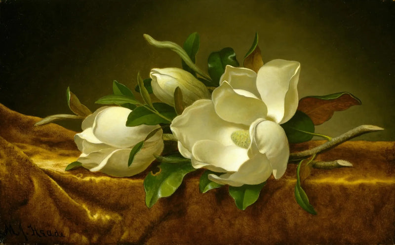 Magnolias sur tissu de velours doré - Martin Johnson Heade