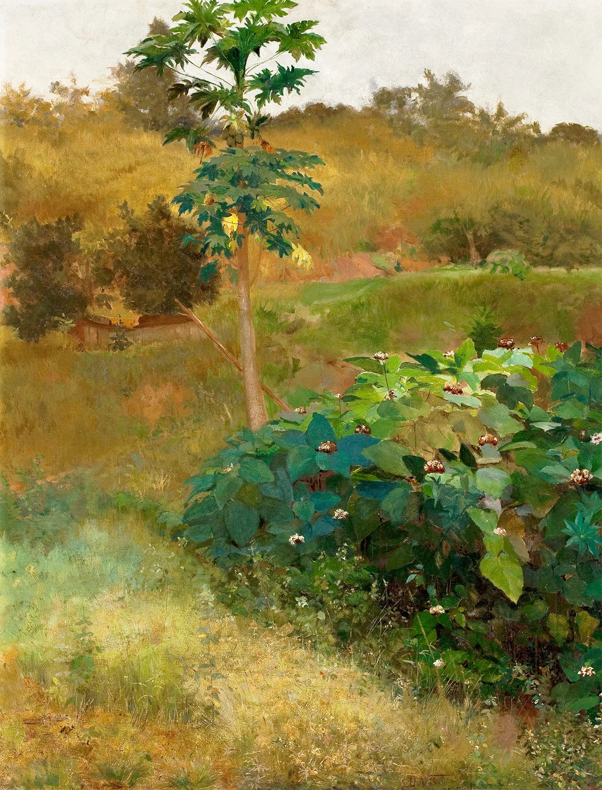 Mamoeiro - Eliseu Visconti image 1 copie de tableau peinte à la main