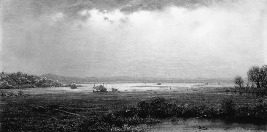 Marais de Newburyport - Martin Johnson Heade