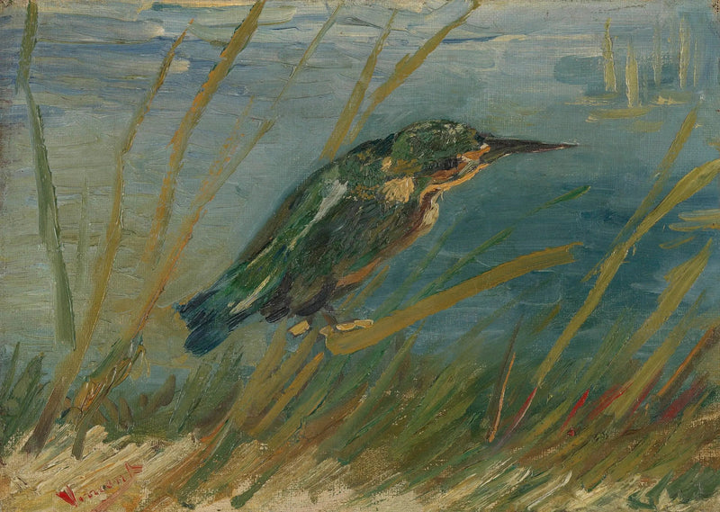 Martin-pêcheur au bord de l'eau - Vincent van Gogh