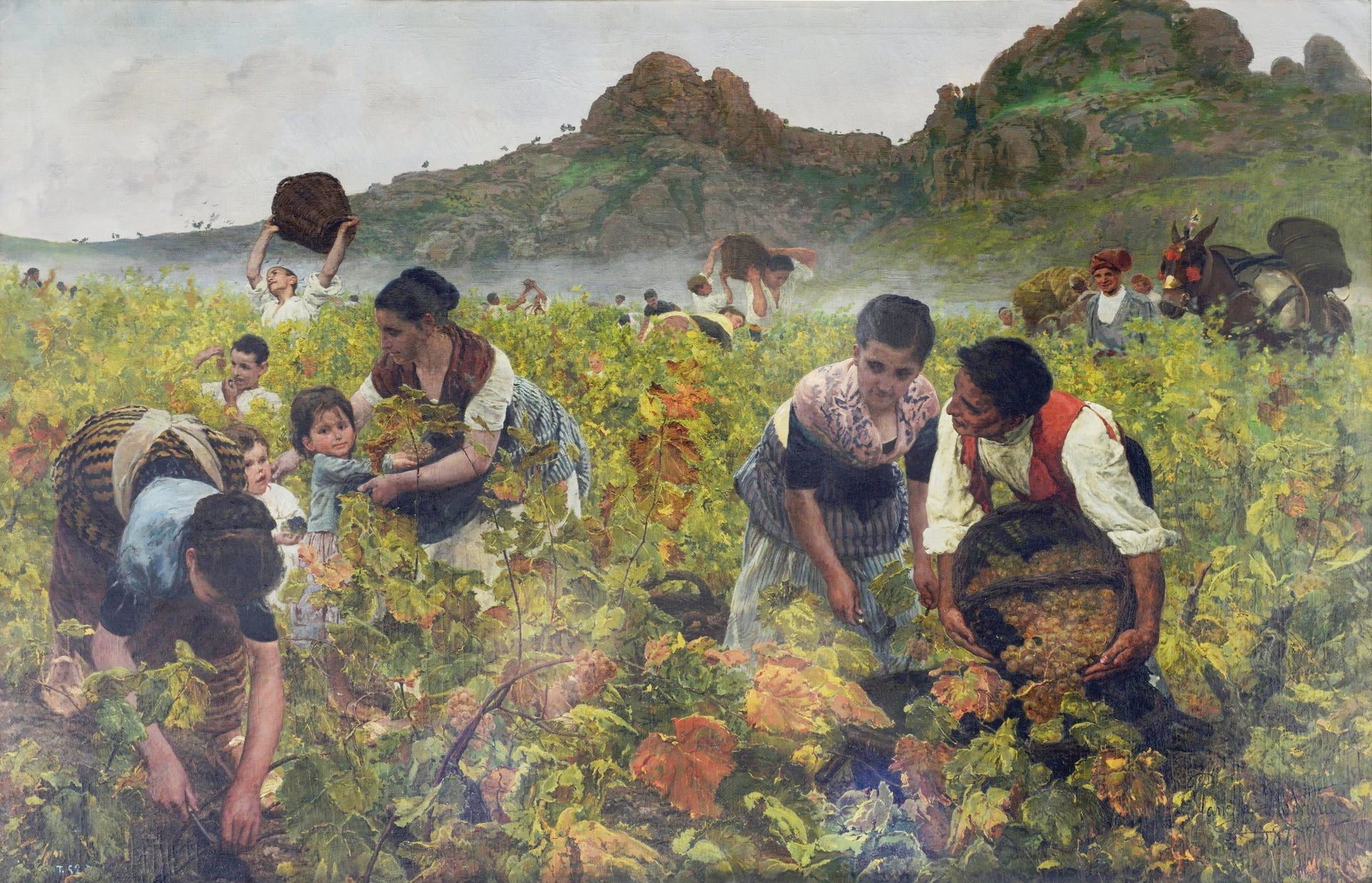 Le millésime - Joan Planella i Rodríguez