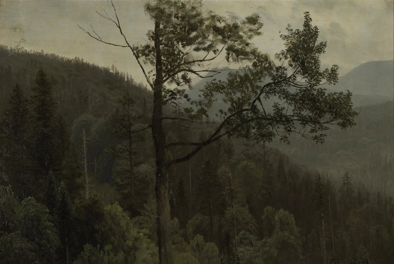 Montagnes couvertes d'arbres - Albert Bierstadt