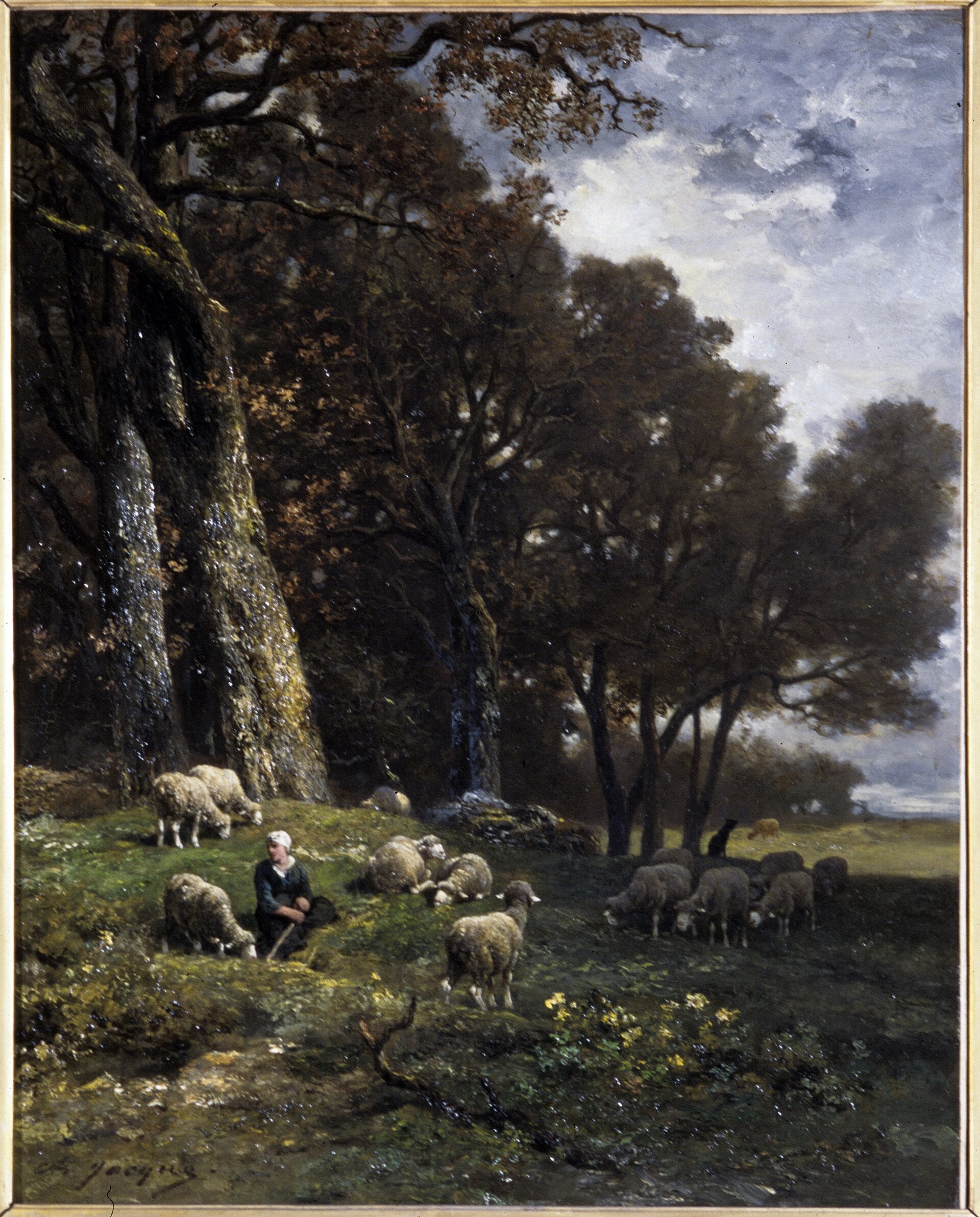 Moutons au pâturage - Charles Jacque