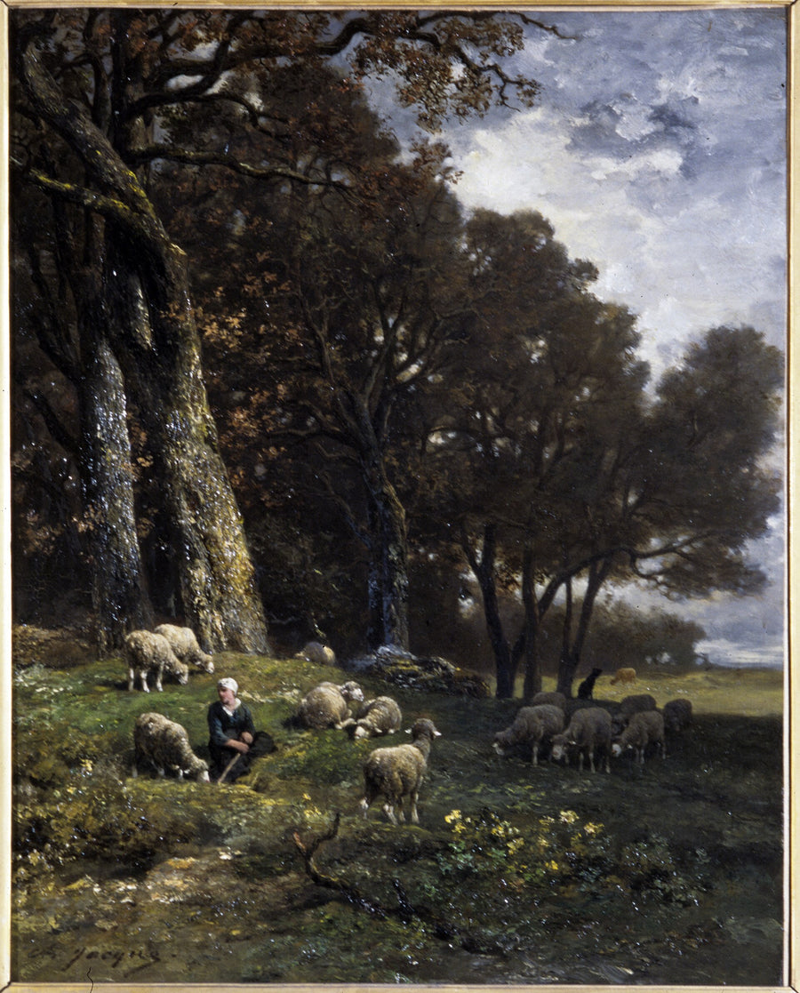 Moutons au pâturage - Charles Jacque