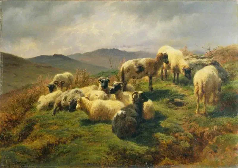 Moutons dans les Highlands - Rosa Bonheur image 1 reproduction artisanale de tableau