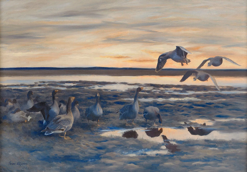 mue des oies des haricots - Bruno Liljefors