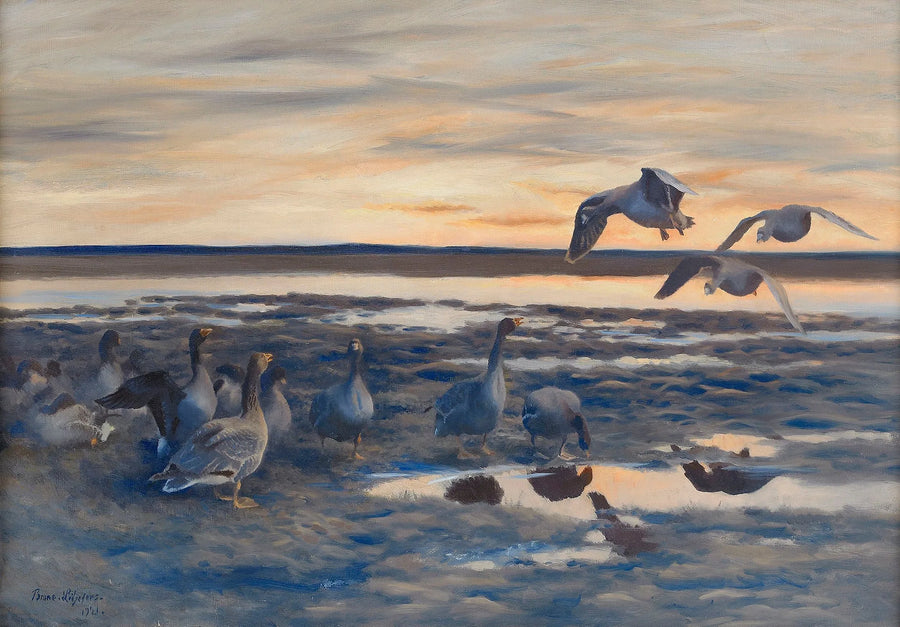 mue des oies des haricots - Bruno Liljefors