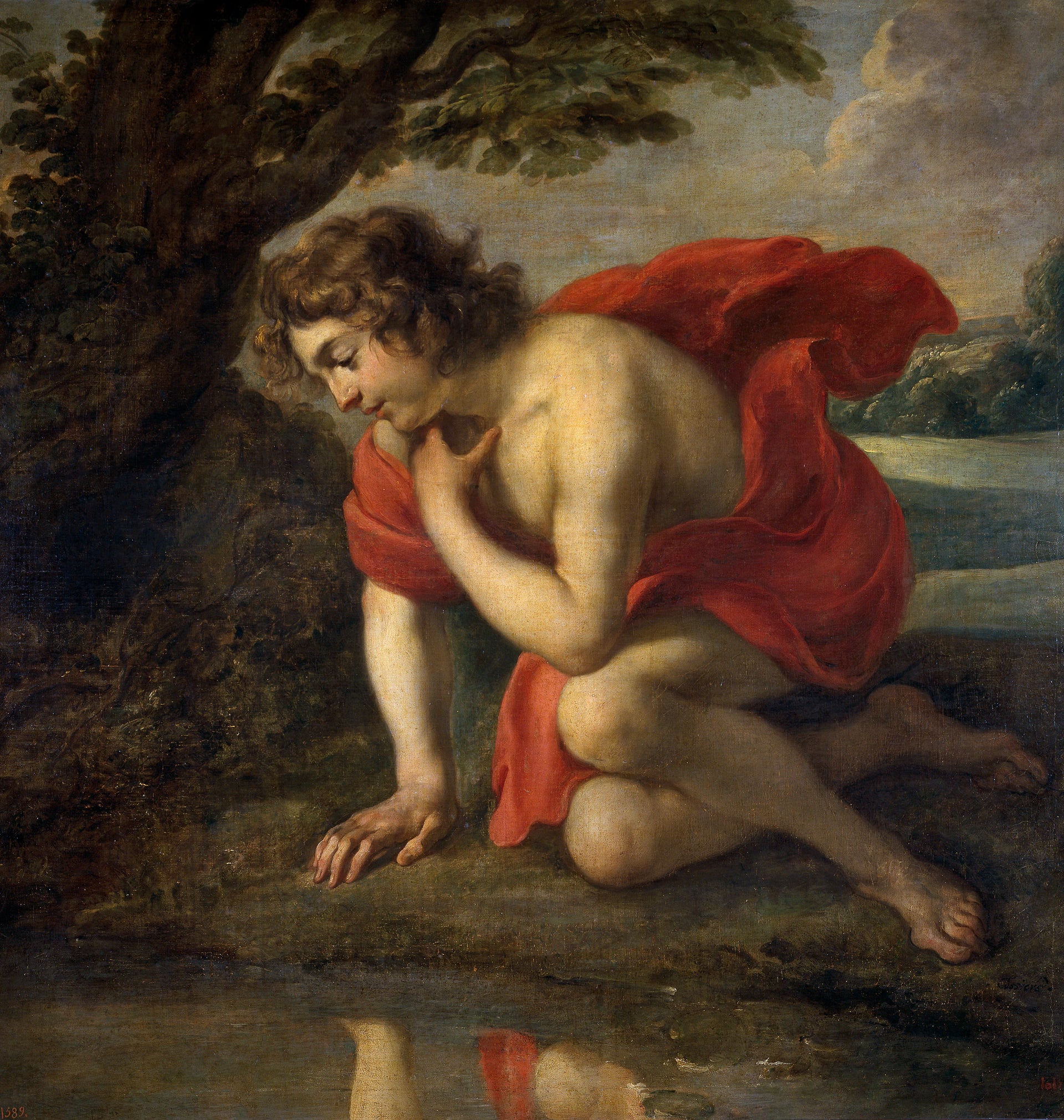 Narcisse - Pierre Paul Rubens|Jan Cossiers
